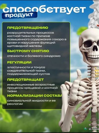 Сустальмакс 2в1, природный хондропротектор
