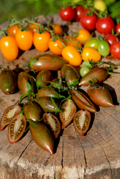 Томат Purple smaragd (Фиолетовый изумруд), 10 шт