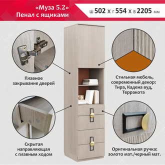 МУЗА 5.2 (ПЕНАЛ С ЯЩИКАМИ)