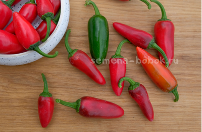 Перец острый Jalapeno Craig's Grande (Халапеньо Крейг Гранд), 10 шт