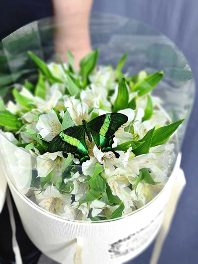 Весенний букет с бабочкой №90