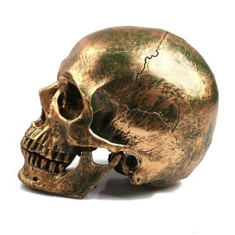 череп, человека, бронза, золото, челюсть, скелет, skull, голова, труп, кости, черепок, реквизит,gold