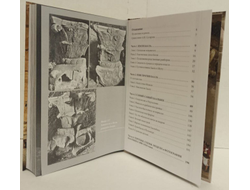 Андрей Скляров. Царство Баала.