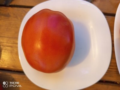 Томат Баклажан