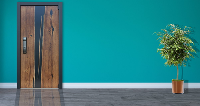 Стальная дверь   Слэб. Заказная модель.