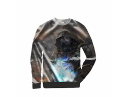 Свитшот Stalker/ Сталкер №26