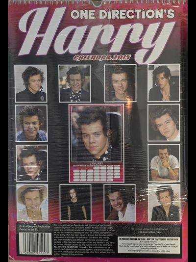Harry Styles One Direction Календарь 2015