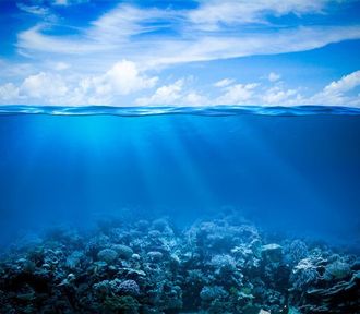 SEAWEED ABSOLUTE 10% IN DPG / Водоросли (ламинария) абсолют