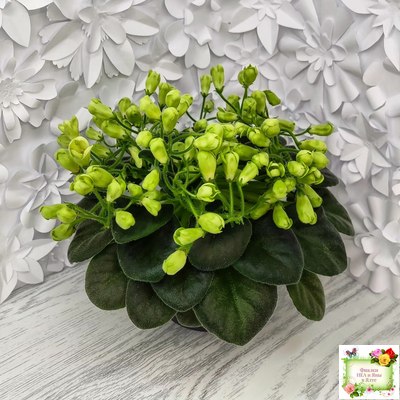 Emerald Bell (О.Барышева) 2016