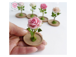Миниатюрная роза под стеклянным колпаком . Ручная работа из полимерной глины.