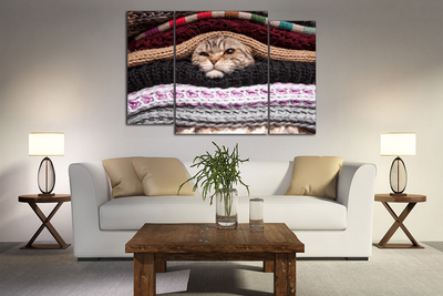 Модульная картина "Кот в тепле"