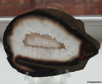 Агат — полированная пластина «Креветка» 136*96*5 мм