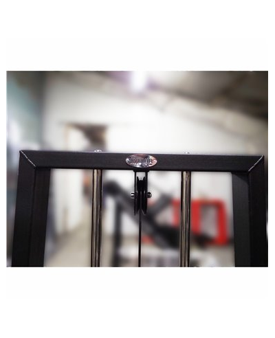 Торс машина 60 кг AV221/80