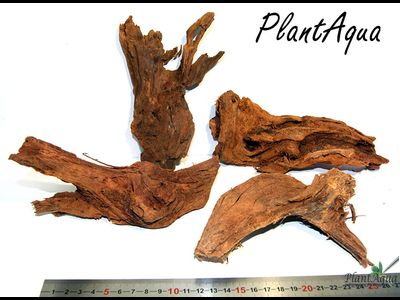 Коряга Мангровая  S (10-15 см)