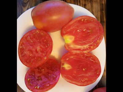 Томат Минусинские лапти опушенные