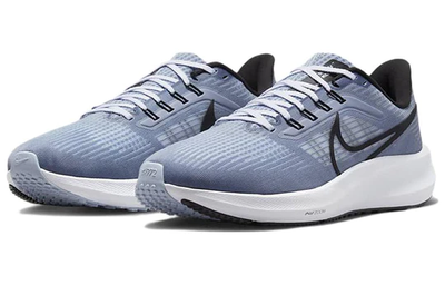 Спортивные аир зум Кроссовки Nike Pegasus 39 Grey Cobalt Bliss мужские DH4071-401 заказать