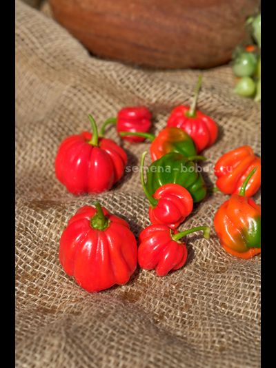 Перец острый Aji Dulce Rojo (Ахи Долче Рохо), 10 шт