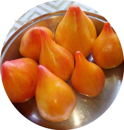 Томат Оранжевый слон минусинский