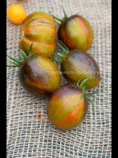 Томат Atomic Fusion (Атомный Сплав), 10 шт