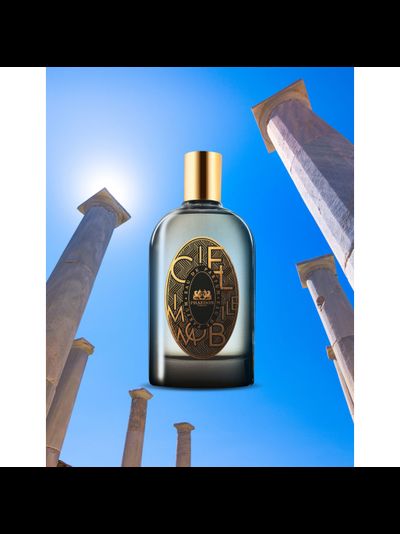 Ciel Immobile - PHAEDON PARIS