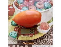 Томат Чухлома