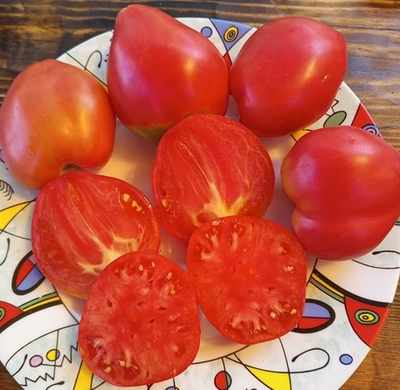 Томат Бычье сердце Ким времен гражданской войны, Kim’s Civil War Oxheart (США)