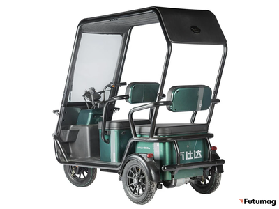 Электротрицикл Wanshida NIPLA 500 60V 1000Вт зеленый