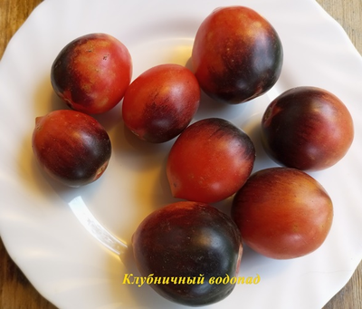 Томат Клубничный водопад