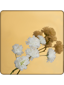 Декоративная нержавеющая сталь Mirror Gold Артикул - DM005