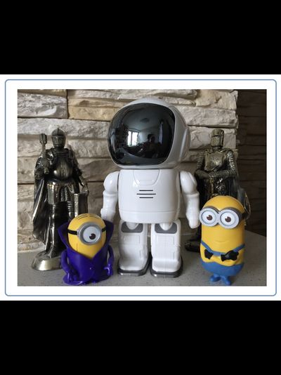 Видеоняня /WiFi-LAN охранная видеокамера моторизированная с DVR (robot), HD (163eye/Yoosee)