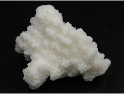 Коралл белый, коллекционный образец, Китай (35*30*19 мм, 8 г) №37627