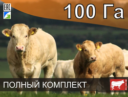 Электропастух СТАТИК-3М для КРС на 100 Га - Удержит даже самого наглого быка!