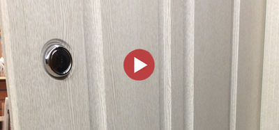 Стальная дверь   Forest (биометрический замок Smart lock R06)