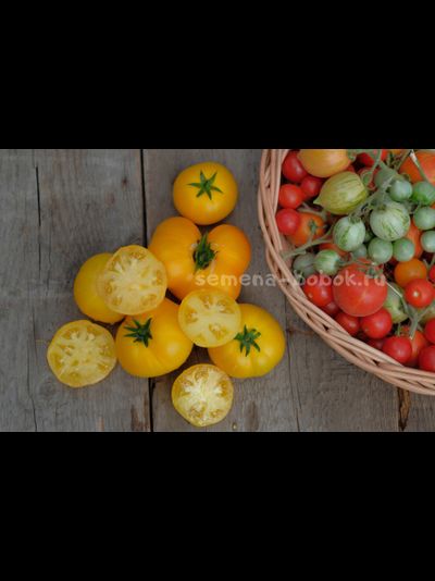 Томат Dwarf Jasmine Yellow (Гном Желтый Жасмин), 10 шт