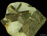 Ставролит - двойник, &quot;косой крест&quot; с фрагментами кристаллов на сланце