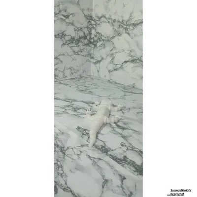 Саламандра