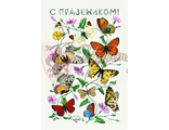775. С праздником!