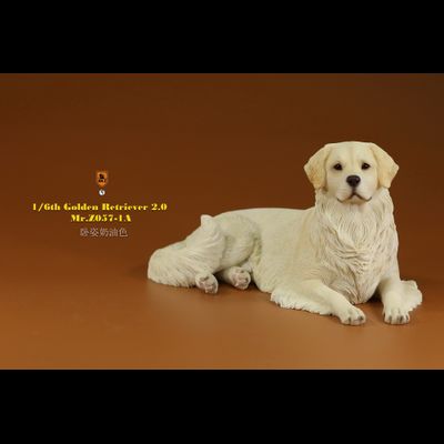 Белый ретривер (лежащий) - Коллекционная ФИГУРКА 1/6 scale Animal Model Golden Retriever 2.0 (MRZ057-1A) - Mr.Z