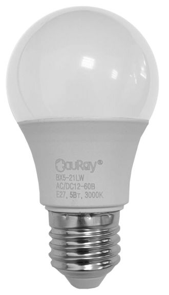 Светодиодная лампа TauRay BX5-21LW (12-60 В, 5 Вт, Е27) фото 1