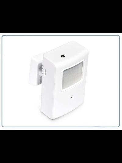 Охранная IP WiFi-LAN видеокамера с ночным видением и аудиоканалом (корпус ИК датчика), встроенный DVR. HD (Pro Ezcam)