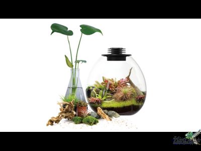 Биобутылка Biolark LED PD 170 (175мм х 195мм)