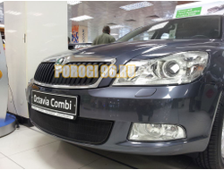 Защита радиатора Skoda Octavia А5 2009-2012 black