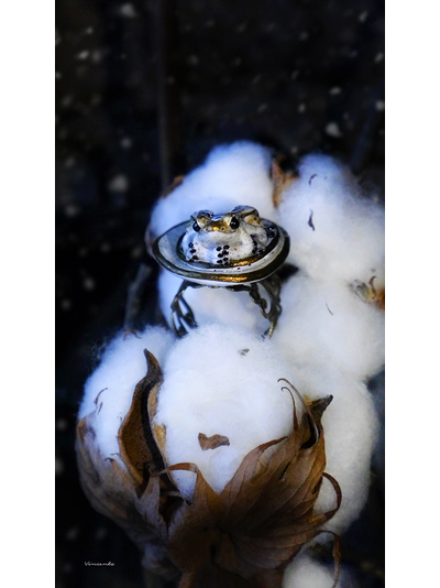 Кольцо с лягушкой &quot;Двойняшка Кваквази&quot;, реплика Дневного Светлячка