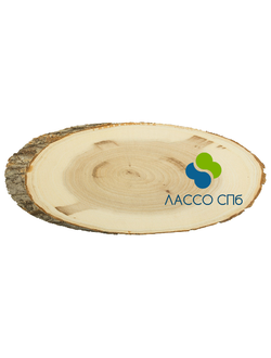 Заготовка Срез дерева косой 25 x 45 см