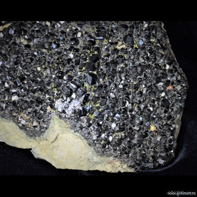 Меланит (разн. граната), друза, с пиритом, эпидотом, самородной медью - 310*235*100мм (ААА)