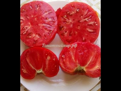 Томат Ник Харп Особенный (Nick Harp's Special, Германия)