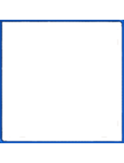 Matucana haynei v. grandiflora KK 1548