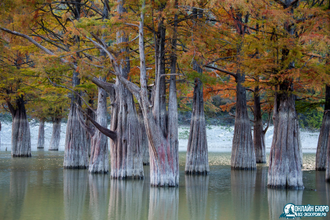 Анапа и кипарисовое озеро (индивидуально)