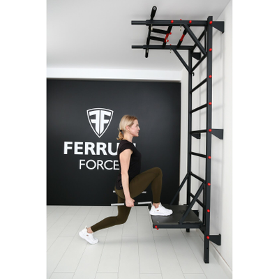 Шведская стенка Ferrum Force FR7 купить в Воронеже