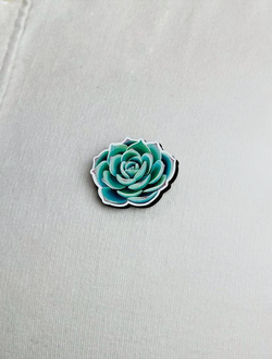 ЗНАЧОК "СУККУЛЕНТ"